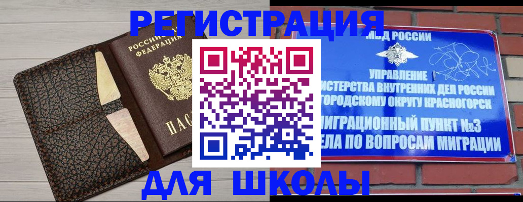 прописка в Данилове